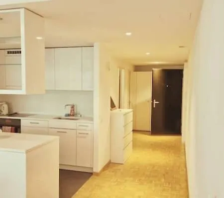 2 Beautiful Center Downtown Flat With Balcony Bir - Self Checkin Апартаменти Цюрих