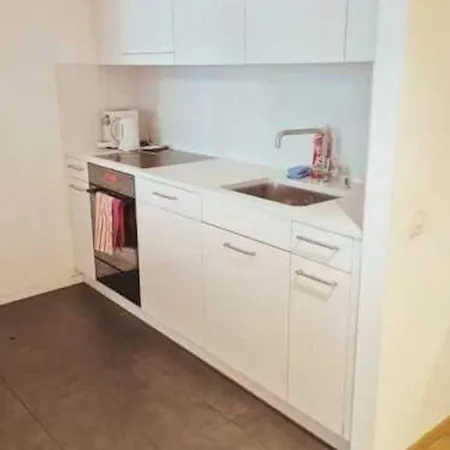 2 Beautiful Center Downtown Flat With Balcony Bir - Self Checkin Apartment Zurich